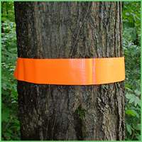 Penn's Woods Fluorescent Orange Safety Band