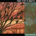 Tree Top Turkeys Volume One Instructional Audio CD