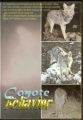 Jay Nistetter Coyote Behavior DVD