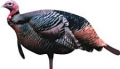 Renzo's Decoys Jake / Tom Turkey Decoy