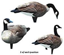 Renzo's Decoys Canada Geese 6 Pack Decoys